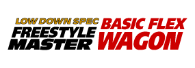 FREESTYLE MASTER BASIC FLEX WAGON