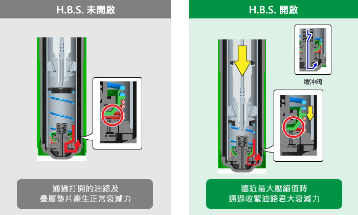 Inactive H.B.S./H.B.S. Activated